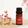 By Nefertitis 100% Essential Oil Blend 1st Chakra