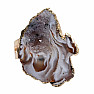 Agate Witch Ring Ring of Intention No. 10
