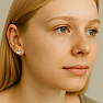 33580 Silver earrings with zircons SWAN