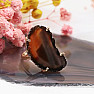 Be Beautiful Agate Slice Ring 110