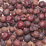 Red-fruited juniper - fruit