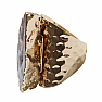 Ring for a witch made of agate Stability No. 16