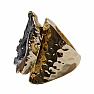 Ring for a witch made of agate Stability No. 20