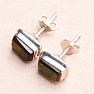Ammolite earrings stones silver Ag 925 E204