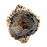 Agate Witch Ring Ring of Intention No. 21