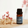 By Nefertitis 100% Essential Oil Blend 5th Chakra