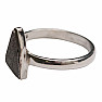 Meteorite Muonionalusta ring silver Ag 925 R883
