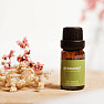 By Nefertitis Bergamot 100% essential oil