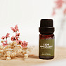 By Nefertitis Himalayan Cedar 100% Essential Oil