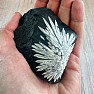 Chrysanthemum stone China 12