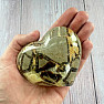 Polished Septoria Madagascar large Heart P8-22