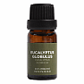 By Nefertitis Eucalyptus globulus 100% essential oil 10 ml