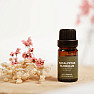 By Nefertitis Eucalyptus globulus 100% essential oil 10 ml