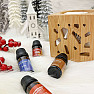 Christmas package Nefertitis Christmas aromatherapy - limited edition