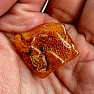 Polished amber Lithuania 13