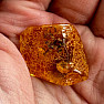 Polished amber Lithuania 14