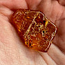 Polished amber Lithuania 17