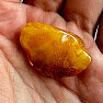 Polished amber Lithuania 18