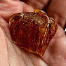 Polished amber Lithuania 19