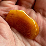 Polished amber Lithuania 21