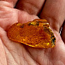 Polished amber Lithuania 22