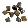 Tumbled Ajooba Jasper