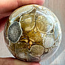 Cobra Jasper Ball 2