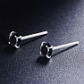 Silver earrings with zircons AA quality BLACK