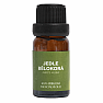 By Nefertitis Silver Fir 100% essential oil 10 ml