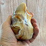 Jasper polychrome polished flame Madagascar FL6 no.1