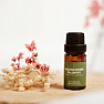 By Nefertitis Frankincense 100% essential oil