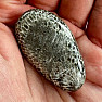 Black tumbled fossil coral Morocco 6