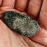 Black tumbled fossil coral Morocco 7