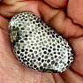 Black tumbled fossil coral Morocco 8