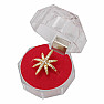 Transparent plastic ring box