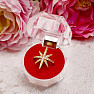 Transparent plastic ring box