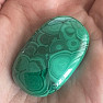 Malachite Congo Feel 8