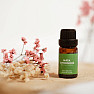 By Nefertitis Lemon Mint 100% Essential Oil