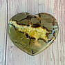 Polished Septoria Madagascar large Heart P8-14