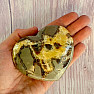Polished Septoria Madagascar large Heart P8-14