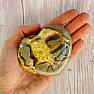 Polished Septoria Madagascar large Heart P8-16
