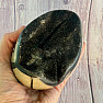 Septoria Dragon Egg Madagascar OS-10