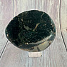 Septoria Dragon Egg Madagascar OS-7