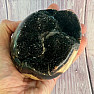 Septoria Dragon Egg Madagascar OS-7