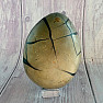 Septoria Dragon Egg Madagascar OS-8