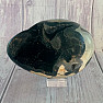 Septoria Dragon Egg Madagascar OS-9