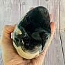 Septoria Dragon Egg Madagascar OS-9