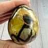Septaria egg home decoration 14