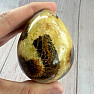 Septaria egg home decoration 15