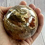 Petrified Wood Sphere Madagascar 17